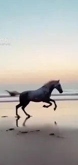 Majestic horse running on a serene beach at sunset.