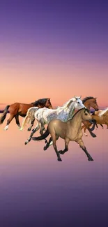 Horses galloping on a calm lake at sunset with a purple sky and tree reflection.