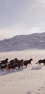 Horses running in snow with mountains.