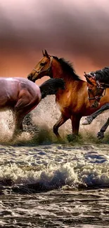 Majestic horses running through waves on a sunset-lit beach.