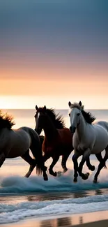 Three horses gallop on a sunset beach, ocean waves splashing.