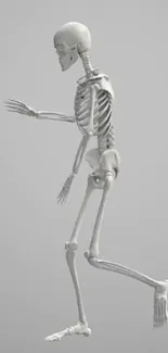 Gray background with a running skeleton figure as mobile wallpaper.