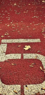 Running track with autumn leaves and number five.