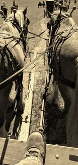 Sepia-toned image of a horse-drawn wagon ride in an open field.