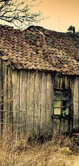 Abandoned rustic cabin in natural setting with brown tones.