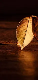 Rustic autumn leaf on wooden surface, warm earthy wallpaper.