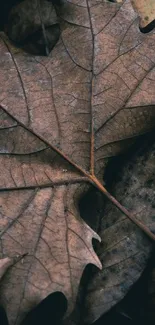 Decorative rustic autumn leaf mobile wallpaper with brown tones.