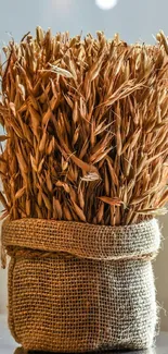 A bundle of wheat in a burlap sack, showcasing a rustic autumn theme.