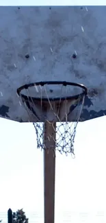 Rustic basketball hoop with weathered backboard.