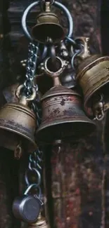 Close-up of rustic metal bells hanging from chains.