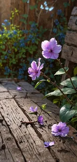 Rustic bench adorned with violet flowers in a garden setting.