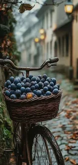 Rustic bicycle with plum-filled basket on a cobblestone street.