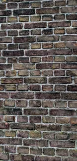 Rustic brick wall with natural brown tones.