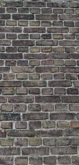 High-resolution mobile wallpaper of a rustic brick wall texture.