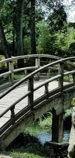 Rustic wooden bridge in lush forest wallpaper.