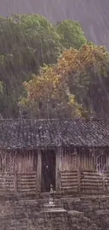 Rustic cabin in the rain with lush green forest backdrop.