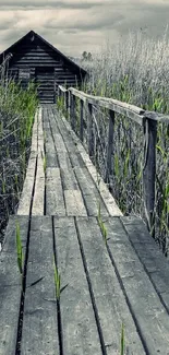 Rustic cabin and wooden pathway under a cloudy sky.