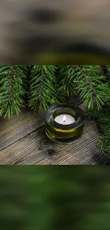 A candle on wood surrounded by pine branches.