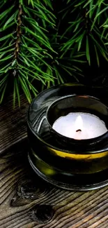 Candle and pine branches on a wooden surface.