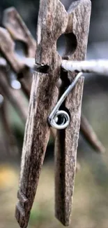 Close-up of a rustic wooden clothespin with a natural background.