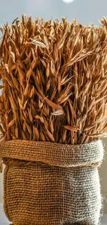 Rustic burlap-wrapped dried wheat bouquet setting.