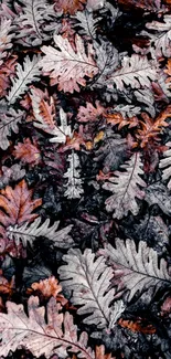 Autumn-inspired wallpaper of fallen oak leaves in rustic earth tones.