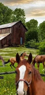 Rustic farmhouse and grazing horses in lush green meadow on mobile wallpaper.