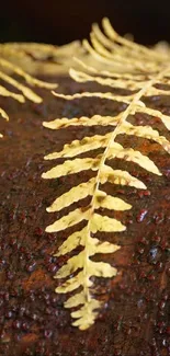 Wallpaper with yellow ferns on brown bark background.