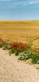 Wallpaper of a field with flowers and a rustic path.