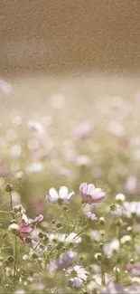 Rustic floral field with wildflowers under a warm vintage filter.