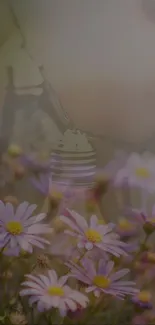 Soft pink daisies under warm bokeh lights create a rustic, floral aesthetic.