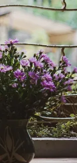 Purple flowers on a rustic windowsill wallpaper.