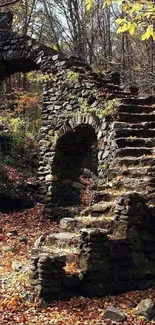 Stone staircase amidst autumn forest foliage, creating a rustic and serene atmosphere.