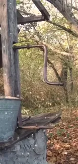 Rustic well in a scenic autumn forest setting.