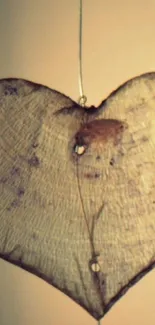 Rustic heart-shaped leaf on a wire in beige tones.