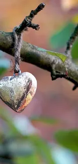 Rustic metal heart hanging from tree in natural setting.