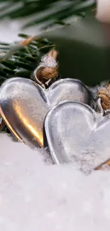 Rustic metal hearts resting on snowy pine branch wallpaper.