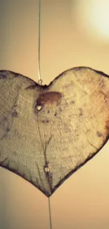 Rustic heart-shaped wood slice with warm tones.