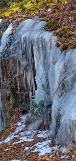 Ice-covered cliff with earthy tones and winter foliage, creating a serene nature scene.