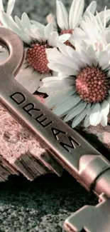 Rustic metal key with daisies and textured background.