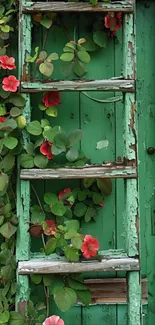 Rustic ladder with autumn flowers on weathered green wall.
