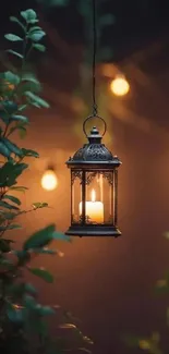 Rustic lantern casting warm glow in a serene, green outdoor setting.