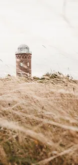 Rustic lighthouse amid golden grasses with a serene meadow.