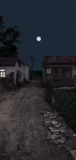 Rustic village at night under a full moon.