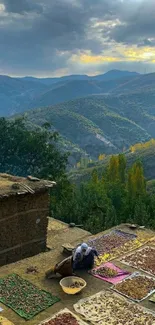 Rustic mountain landscape with drying herbs and a cloudy sky.