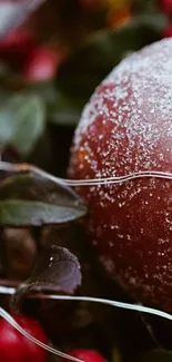 Frosted pomegranate with lush leaves and a rustic aesthetic on mobile wallpaper.