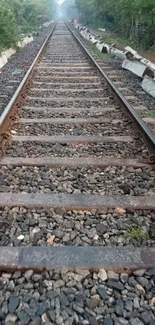 Rustic railway track surrounded by green foliage.