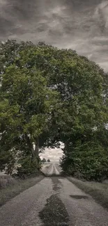 Rustic road through a green tree canopy under a cloudy sky.