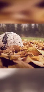 Soccer ball resting among brown autumn leaves on the ground.