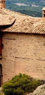 Rustic stone house with chimney and natural backdrop in warm tones.